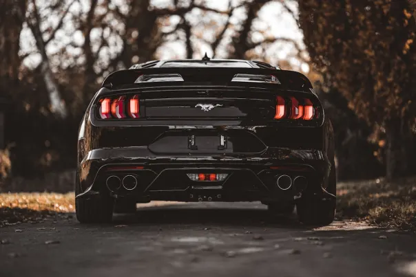 Casino Posh Bingo Android/iOS aplikacija